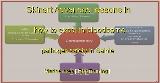 Skinart Advanced lessons in how to excel in bloodborne pathogen safety in Sainte Marthe area | BbpTraining | BbpClasses | SkinartTraining-Canada